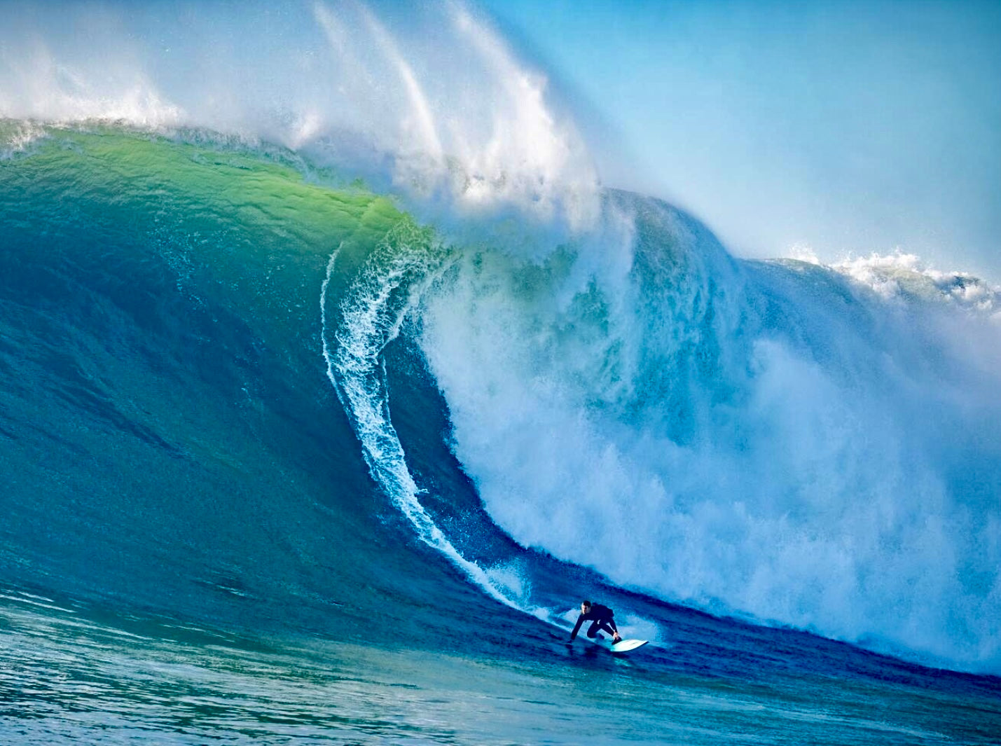 Mavericks Blend – Surfrider Coffee Company