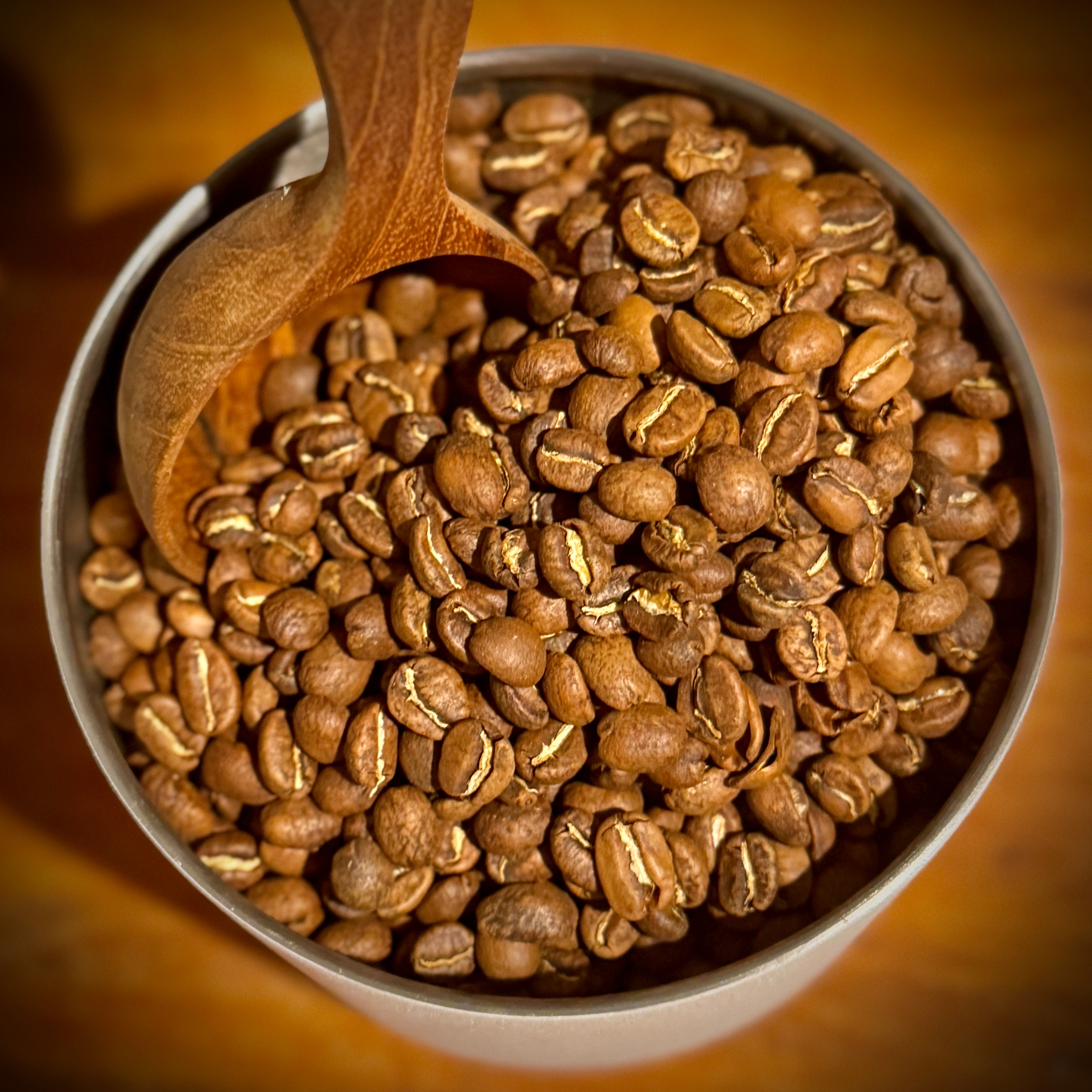 Trestles Blend – Surfrider Coffee Company